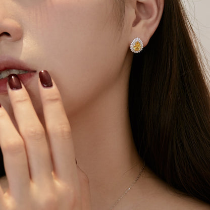 [Royal]Delicate Gorgeous Pear Cut Daily Earrings